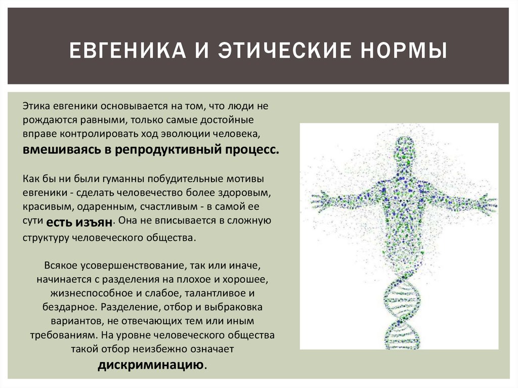 Проблемы евгеники общие этические принципы в медицинской генетике презентация