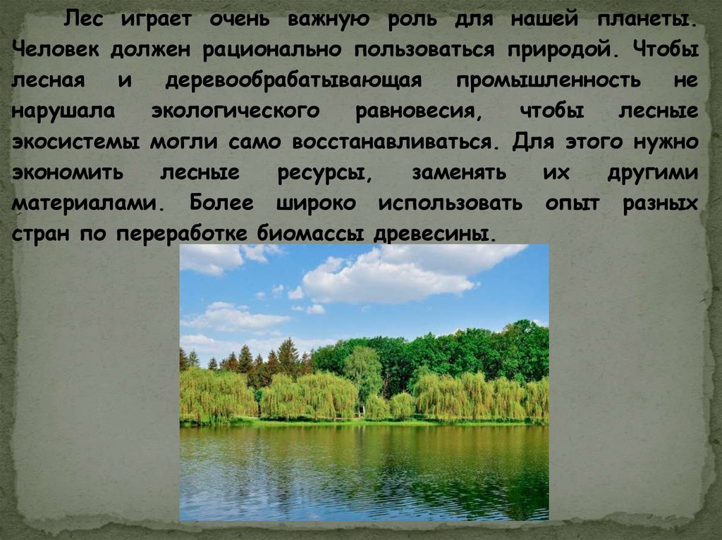 Реферат: Лесная промышленность и деревообработка в Украине