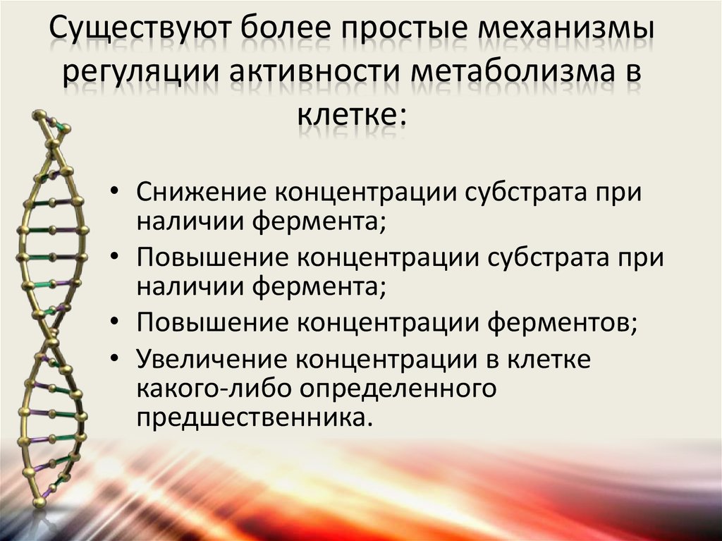 Клетки б укорачивание. Механизмы регуляции метаболизма клеток. Неспецифические механизмы регуляции клеточного метаболизма.