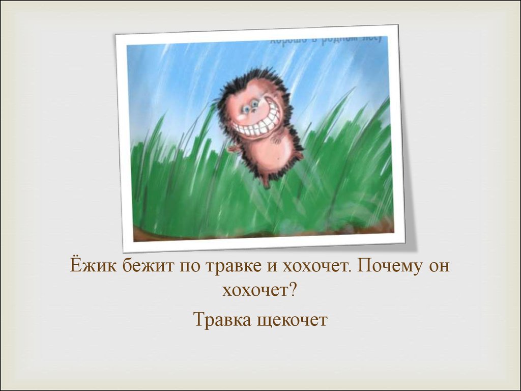 Ежик по травке бежит