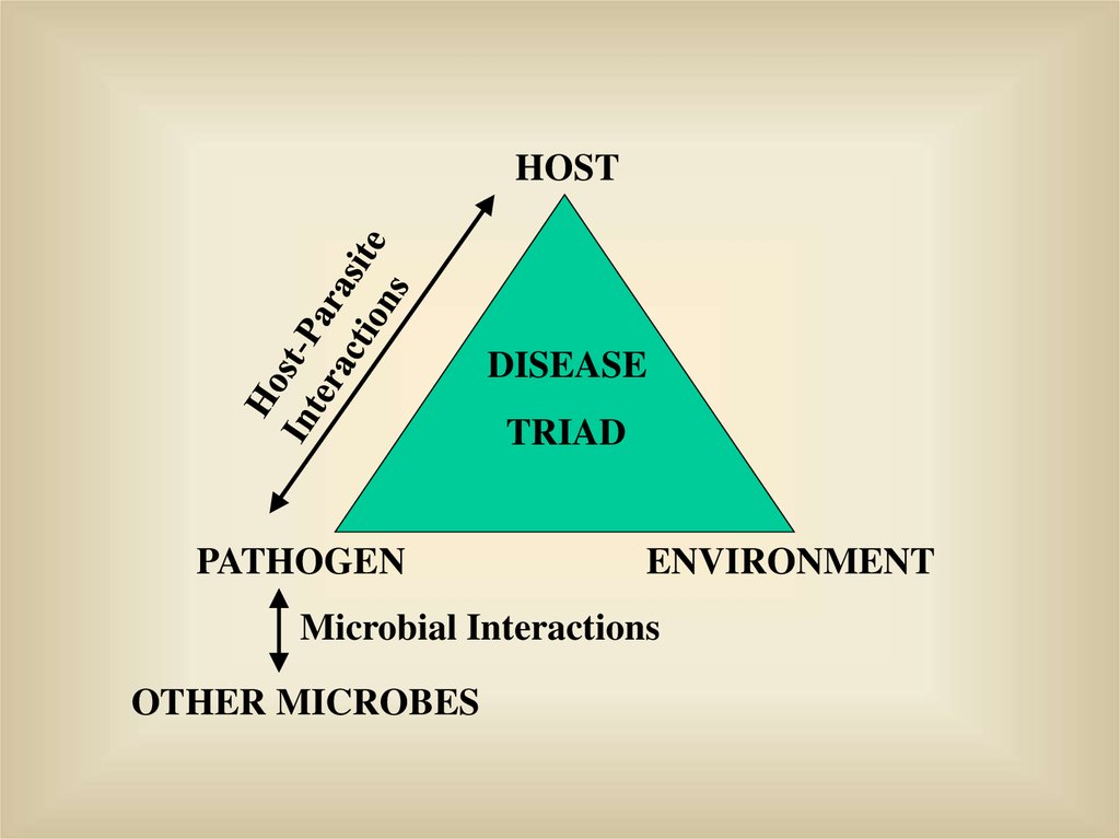 What Is Host Parasite Interaction