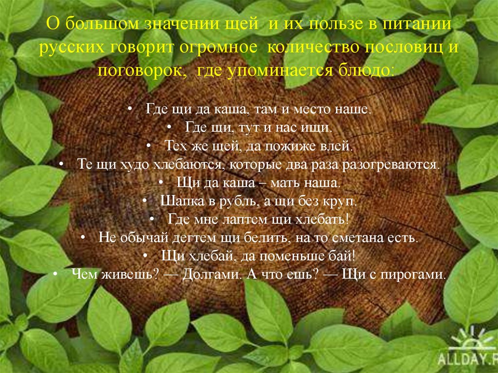 Значение слова щи. Пословицы и поговорки о похлебке. Рассказ про щи. Загадка про щи. Щи история.