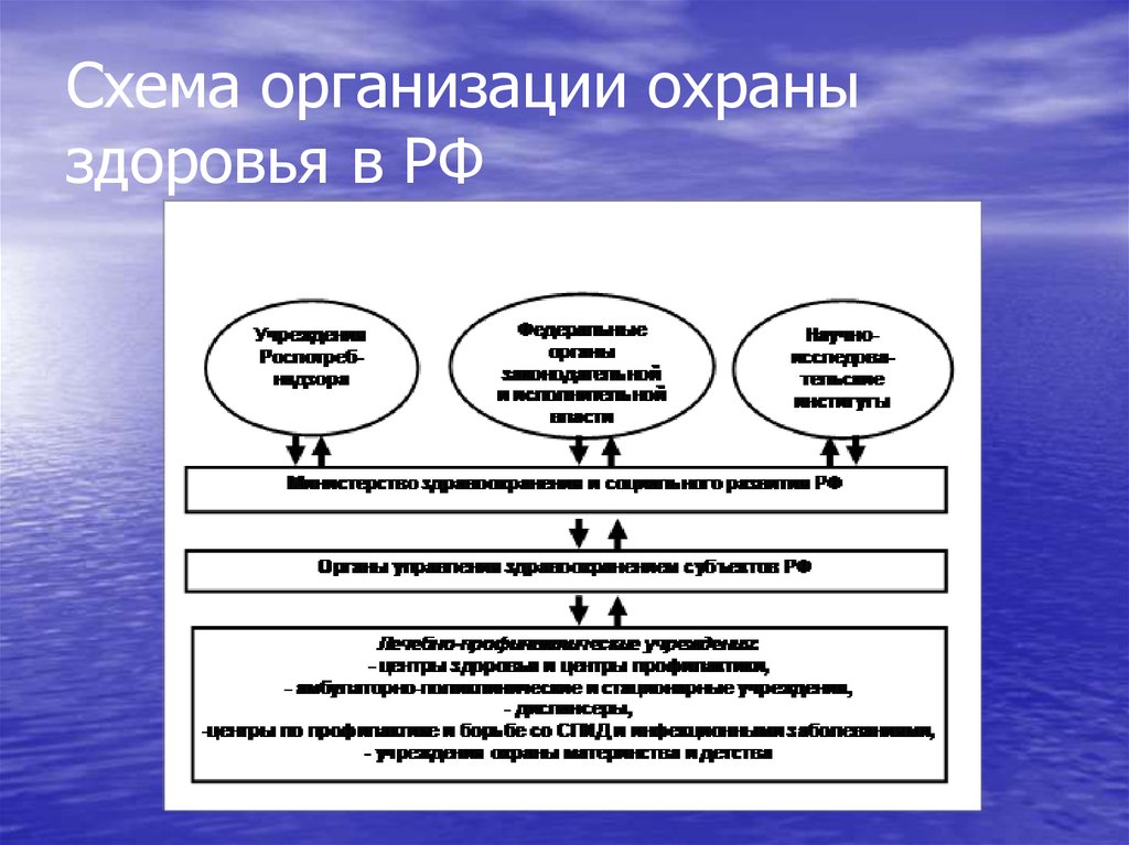 Схема организации охраны здоровья в РФ