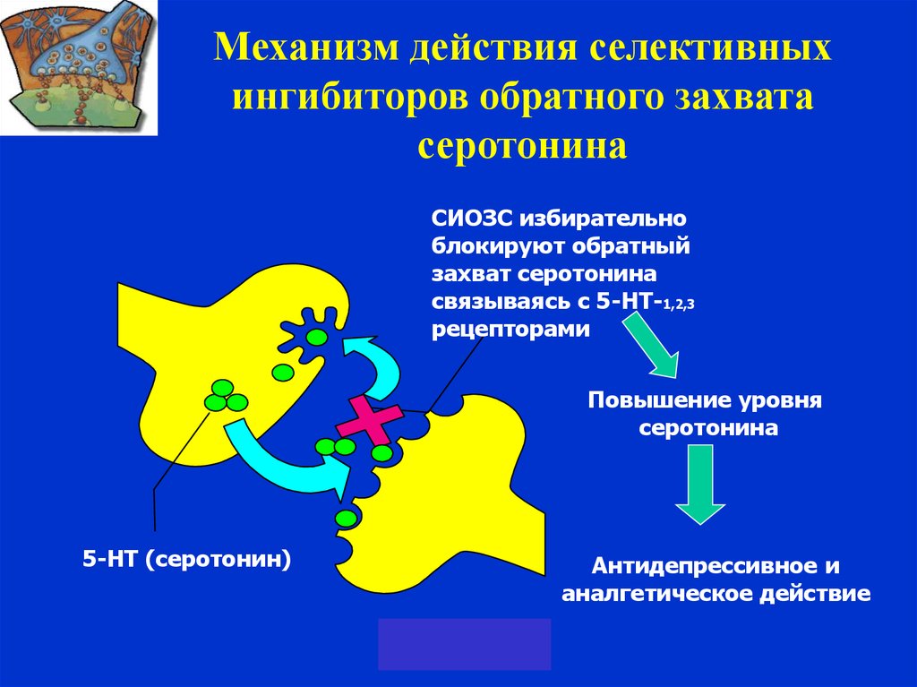 Механизм действия транквилизаторов схема