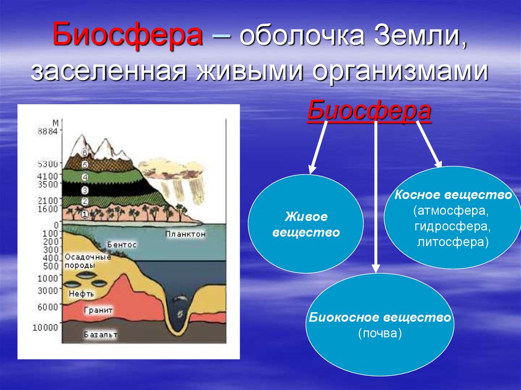 В литосфере существует жизнь. Биосфера Живая оболочка земли. Биосфера земная оболочка. Биосфера облачко земли. Биосфера презентация география.