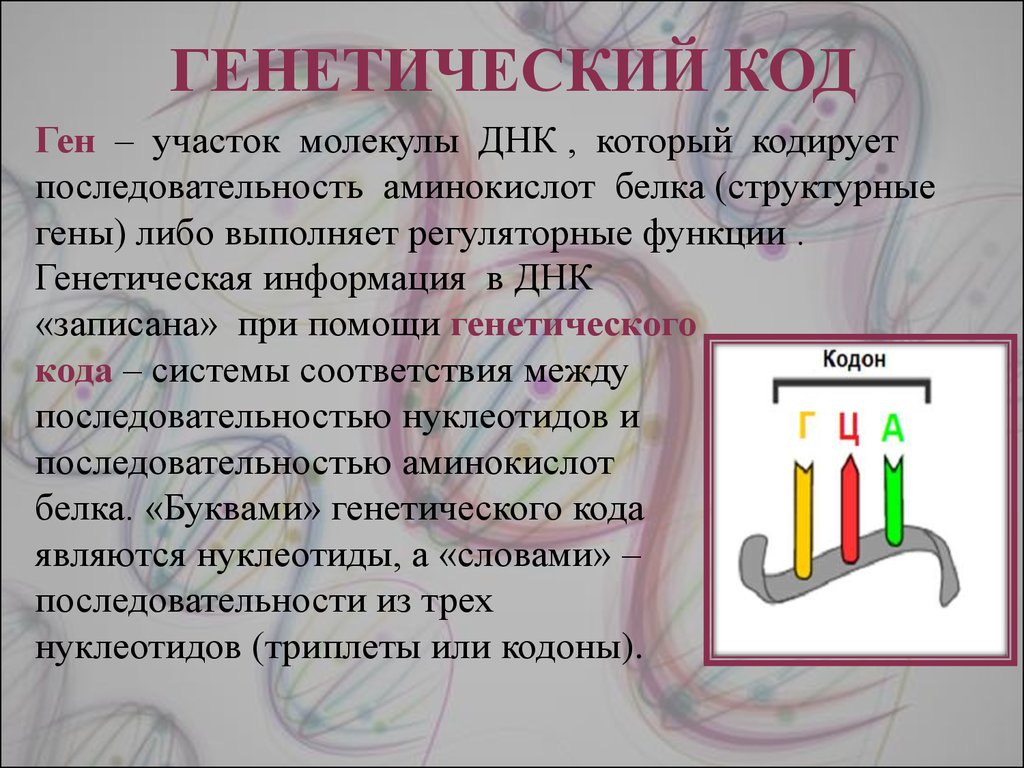 Буква белков. Ген генетический код. Гены код. Генетические буквы. Ген код простыми словами.