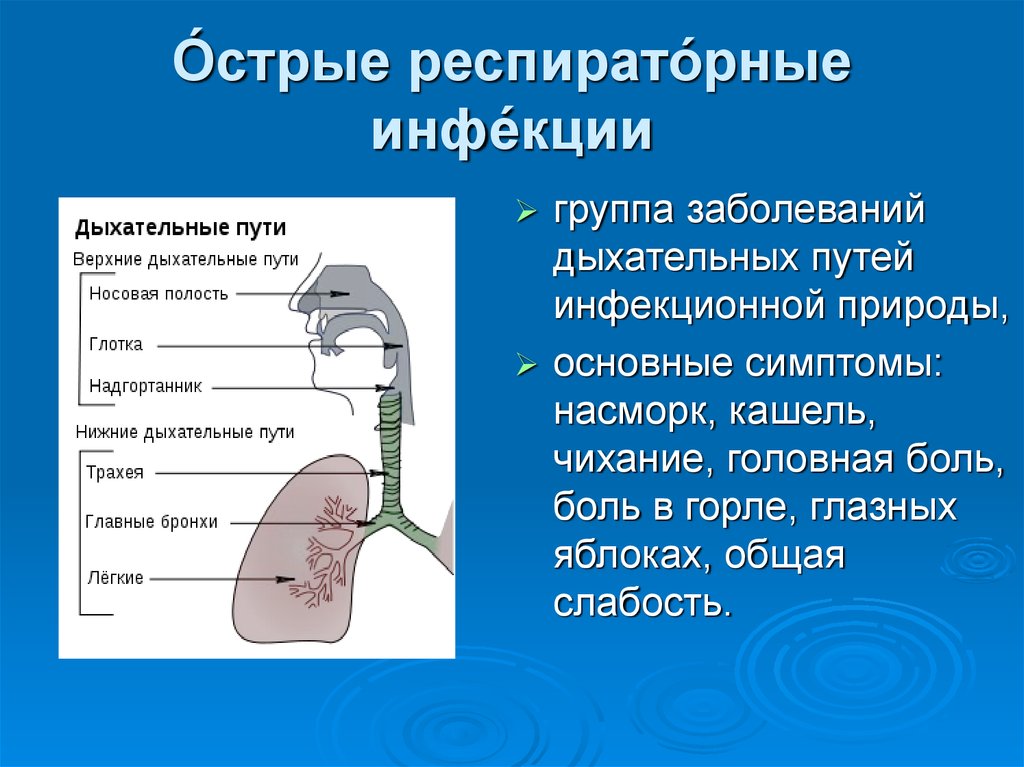 Респираторные заболевания презентация