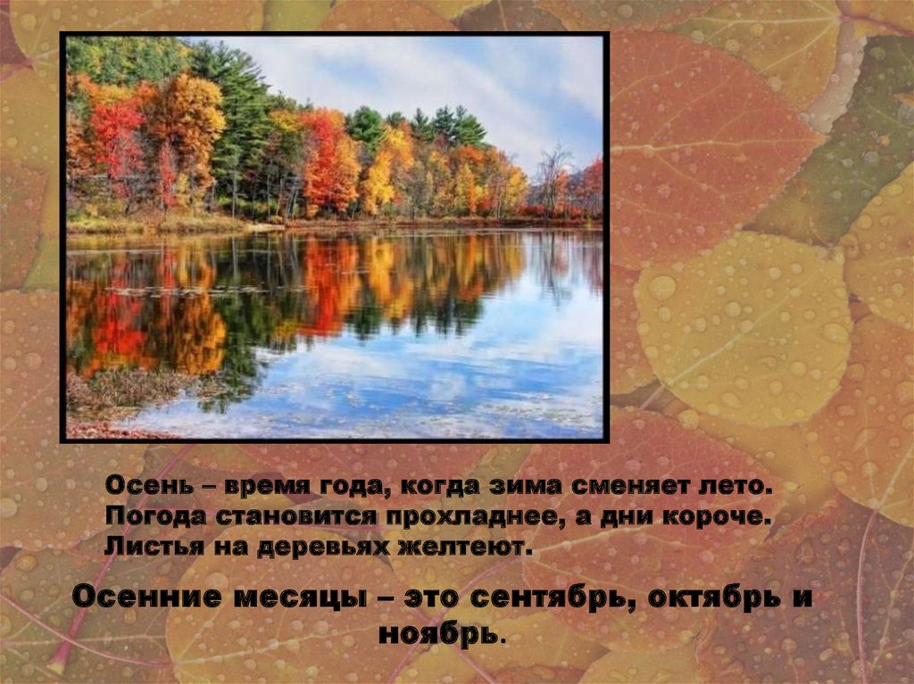 Рассказ природа осенью 2 класс. Описание осени. Описание осени для детей. Проект на тему осень. Осень описание природы.