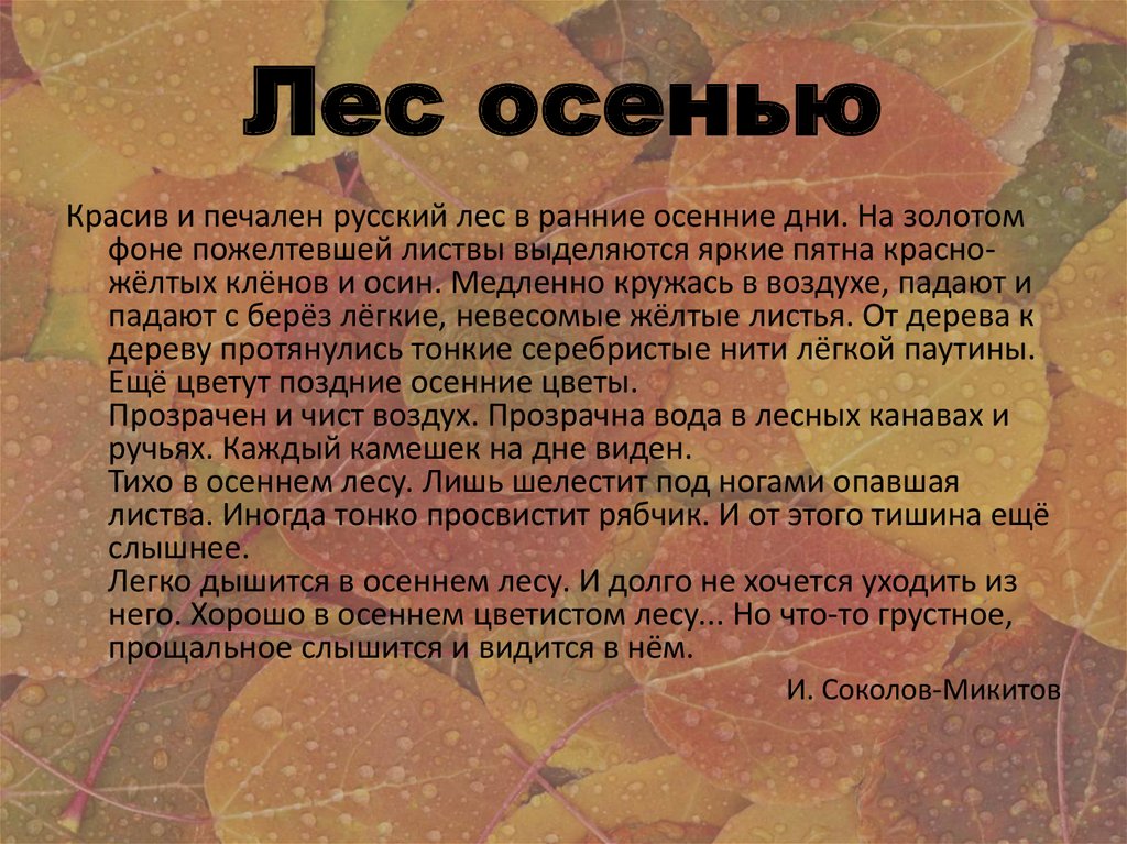 Сочинение осень русский язык. Сочинение на тему осень. Осенний лес сочинение. Сочинение прриосений лес. Рассказ про осенний лес.