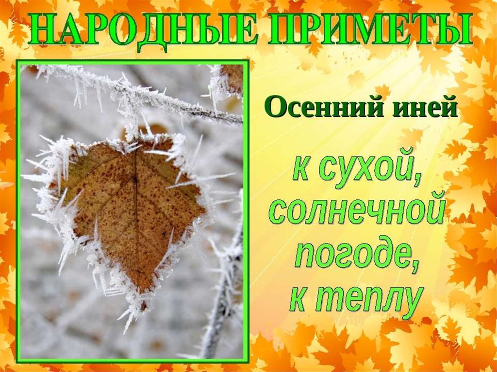 Приметы осени картинки. Осенние приметы 2 класс. Приметы про осень 2 класс короткие. Примета осень иней. Стихи про осенний иней.