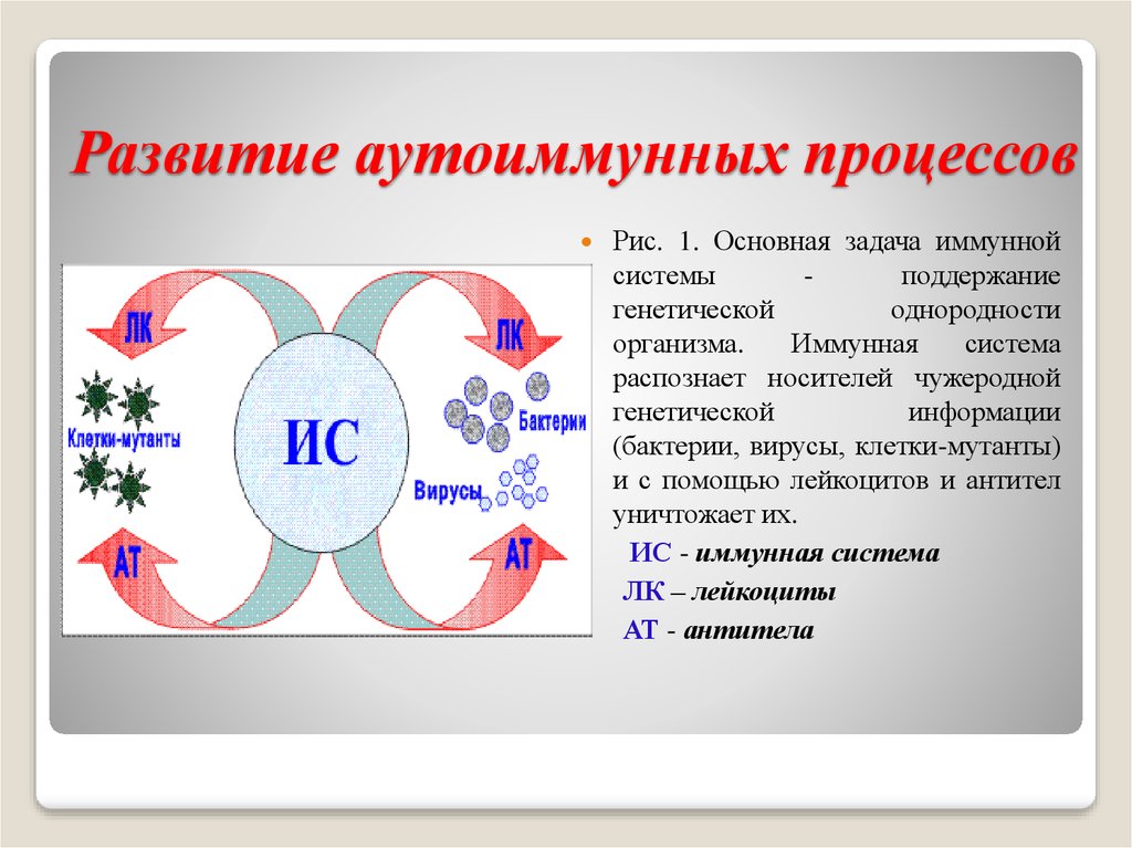 Презентация на тему аутоиммунные заболевания