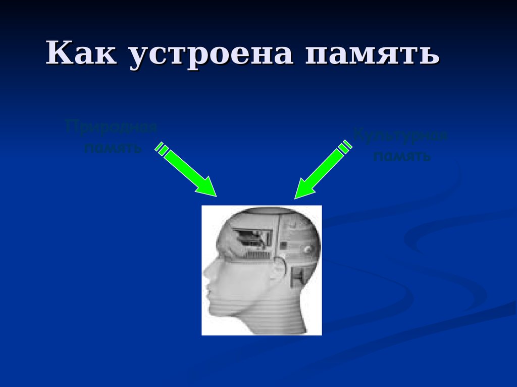 Презентация на тему виды памяти