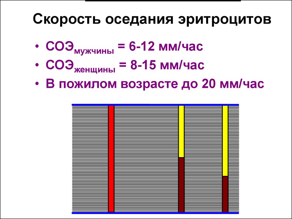 Скорость оседания эритроцитов метод