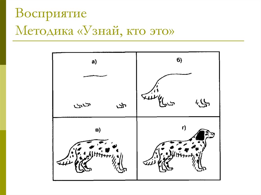 Диагностика восприятия