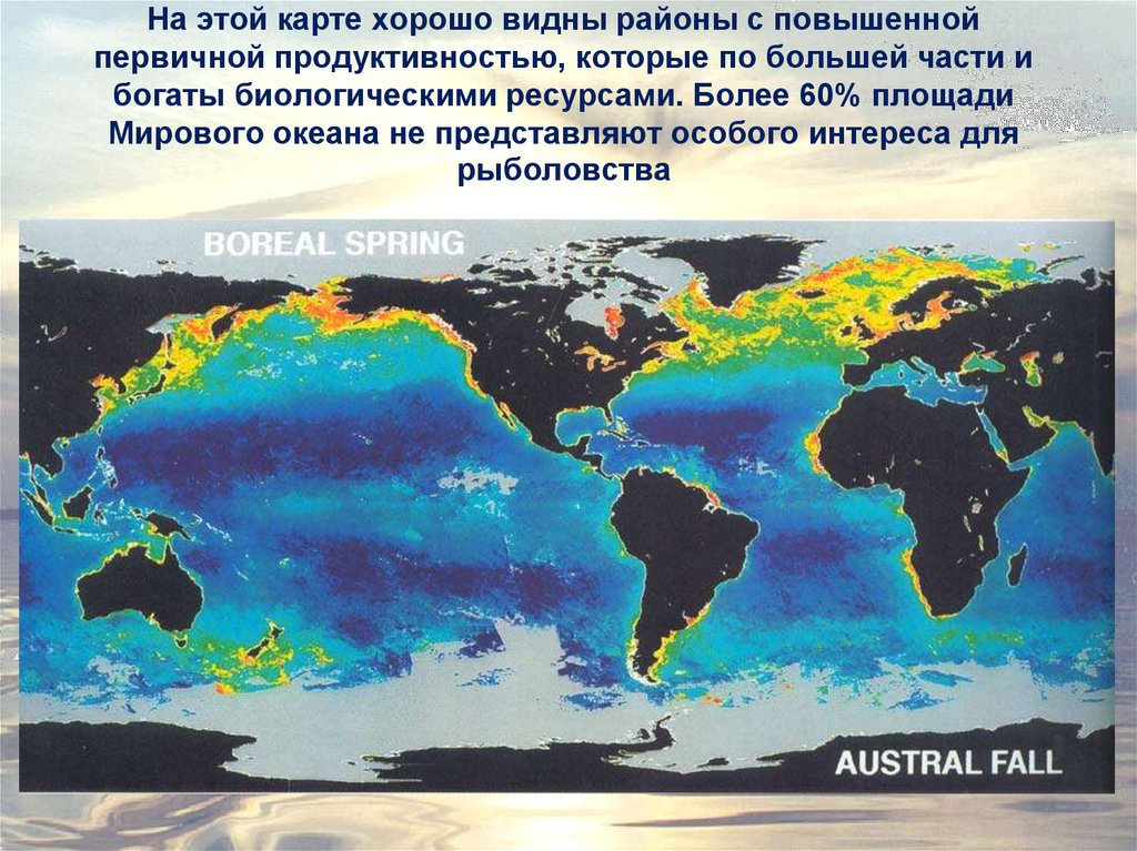 Территория мирового океана. Биологическая продуктивность мирового океана. Зоны максимальной продуктивности мирового океана. Биопродуктивность мирового океана. Карта первичной продуктивности океана.