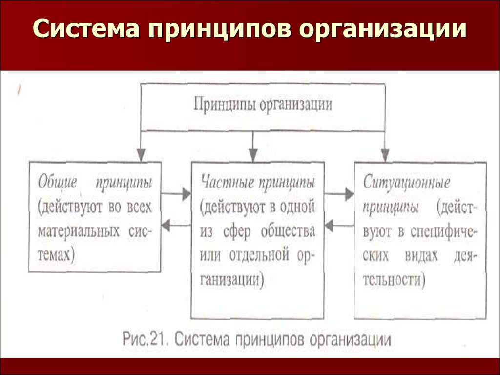 Виды организаций законы и принципы организации