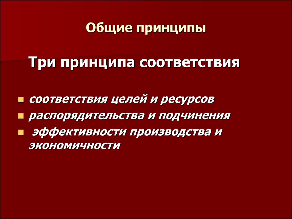 Основные принципы организации. Общие принципы организации проектирования. Рационализация и проектирование организационных систем. Функция рационализации политической жизни. Систематизация как принцип рационализации.