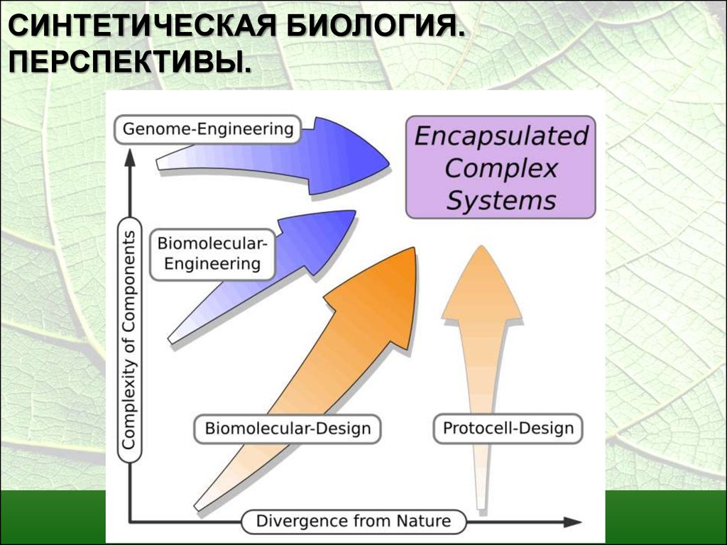 Синтетическая биология. Синтетическая биология перспективы. Опасность синтетической биологии. Синтетическая биология презентация.