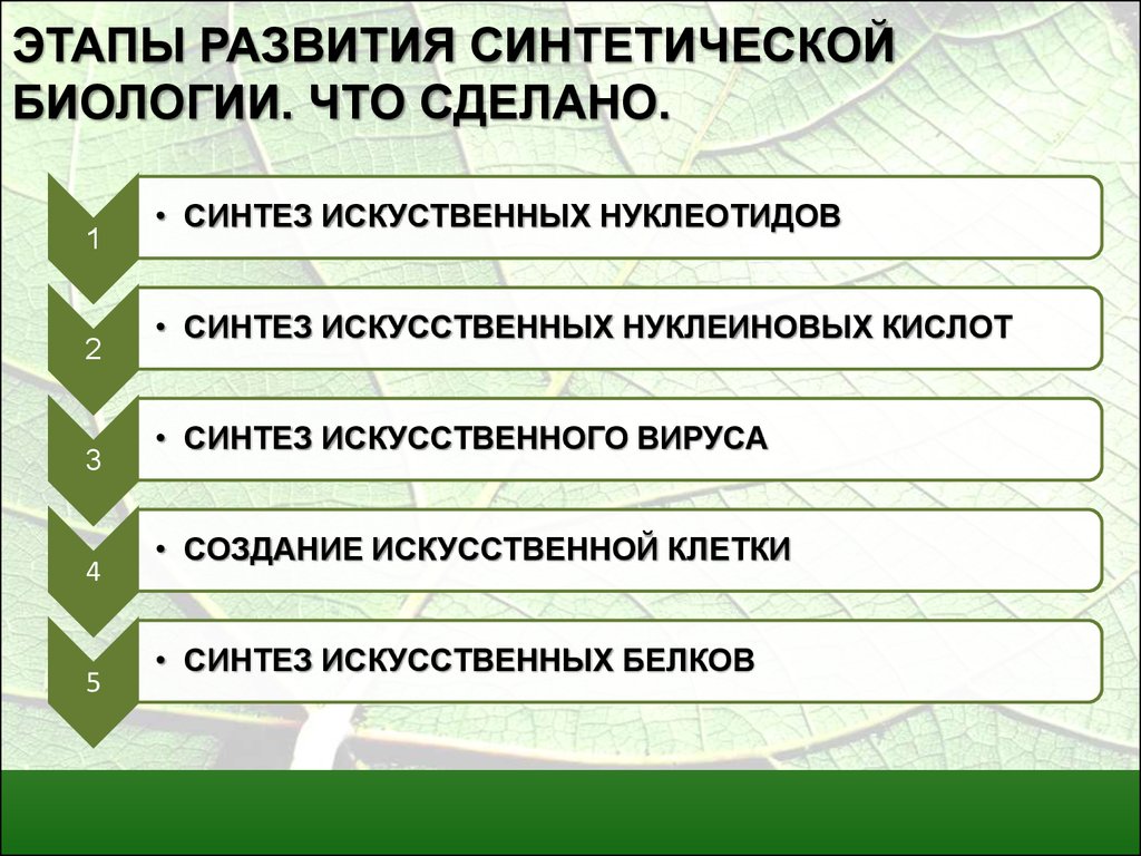 Синтетическая биология. Этапы развития биологии. Стадии развития биология. Этапы биологического развития. Современный этап развития биологии.