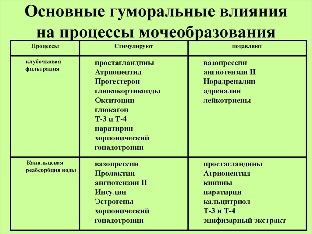 Влияет на процесс. Основные гуморальные влияния на процессы мочеобразования. Гормональная регуляция мочеобразования схема. Основные гуморальные влияния на процессы мочеобразования таблица. Регуляция процессов мочеобразования и мочевыделения таблица.