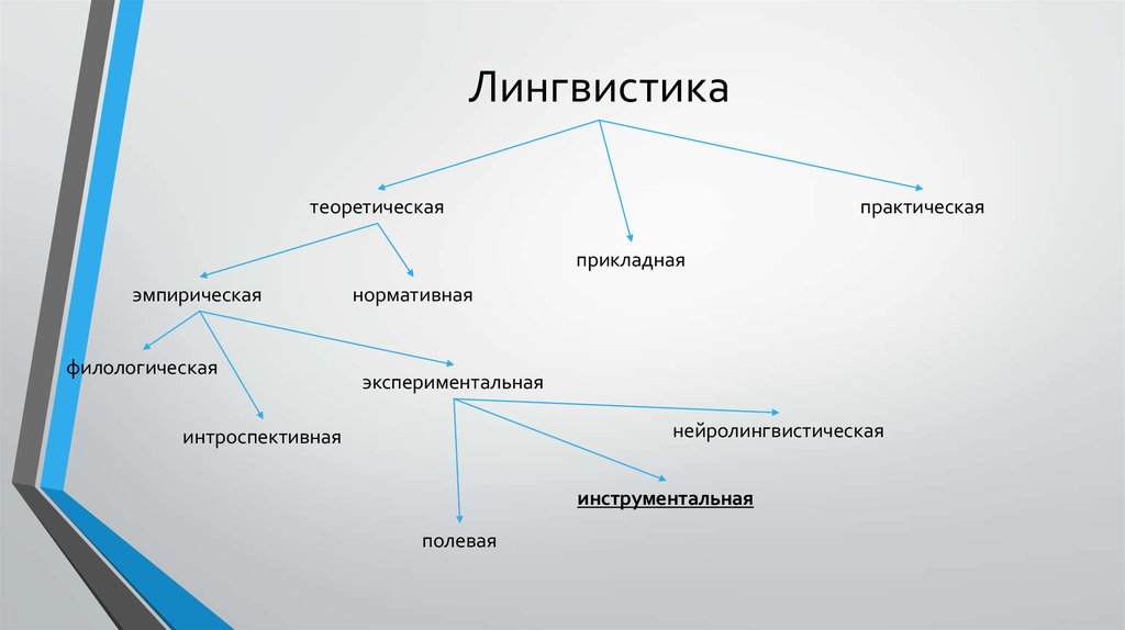 Языкознание 3. Теоретическая и Прикладная лингвистика. Виды лингвистики. Лингвистика схема. Виды языкознания.