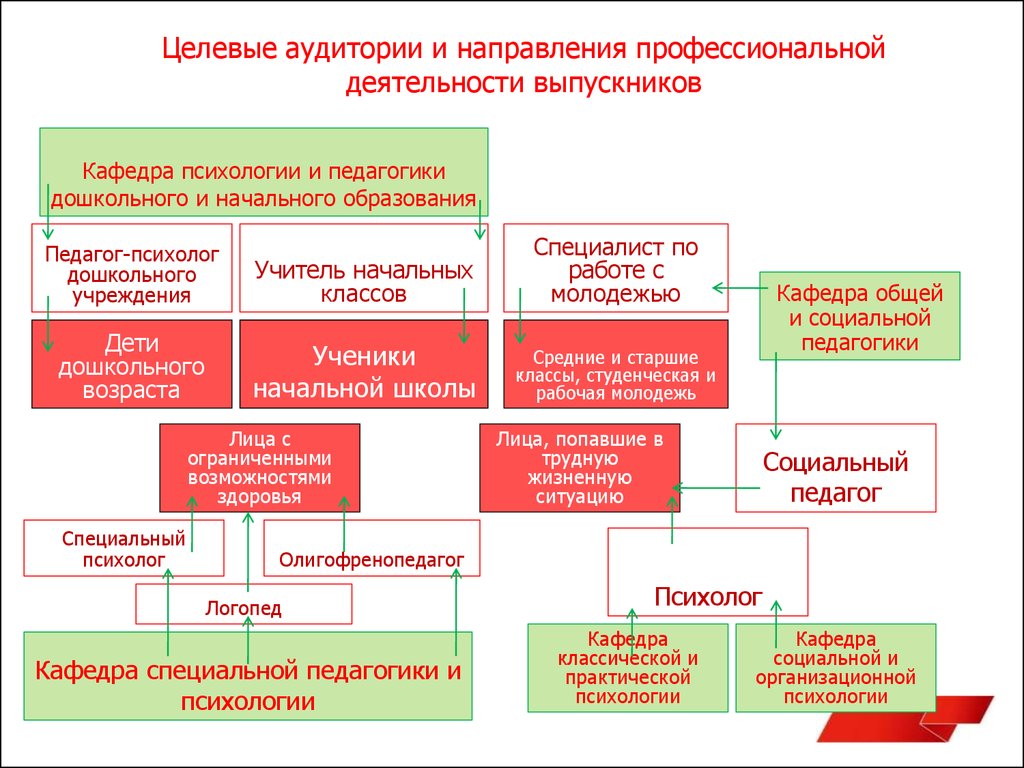 Направления профессиональной деятельности