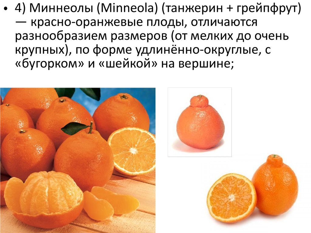 Чем отличаются мандарины от клементинов