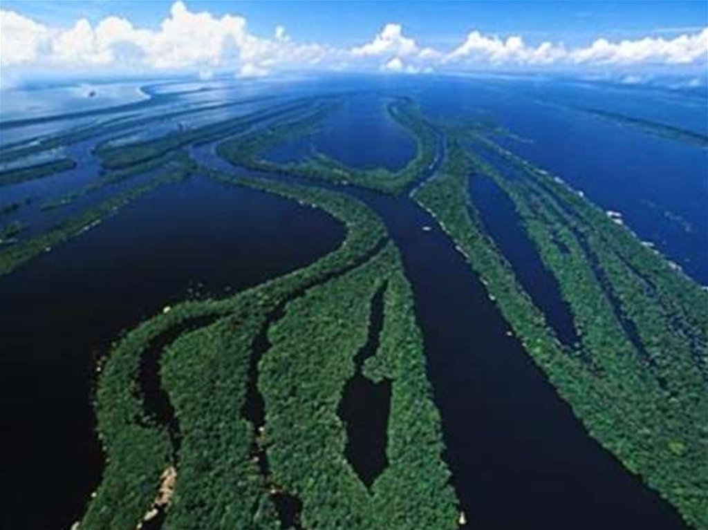 Самая полноводная река в азии. Южная Америка река Амазонка.