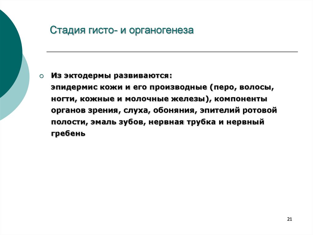 Стадии органогенеза. Гистоорганогенез. Эпидермис кожи и его производные компоненты органов слуха зрения. Гистоорганогенез это кратко. Компоненты органов зрения и слуха эктодерма.