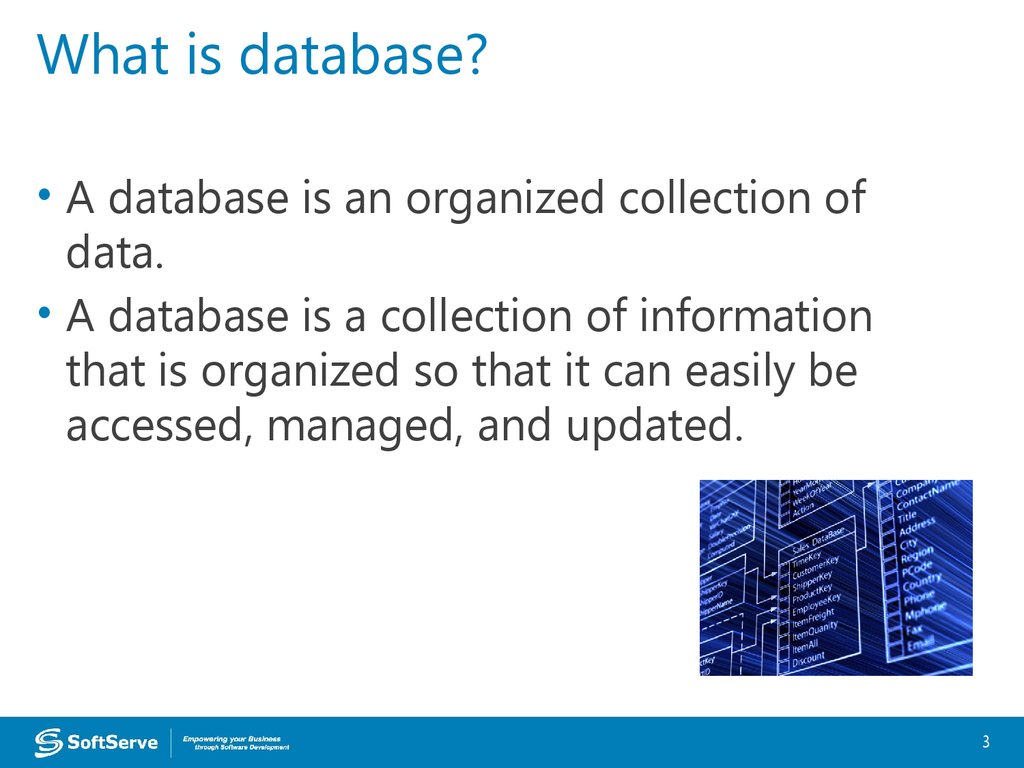 what is database and its purpose