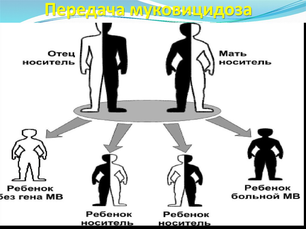 Мать здорова отец здоров. Носитель Гена. Поломка Гена. Здоровые носители патологического Гена. Мать носитель и отец носитель.