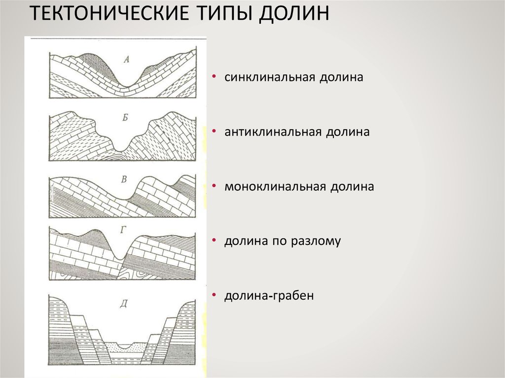 Рельеф тектоническая основа. Тектонические типы речных Долин. Синклинальная Долина. Типы Долин по поперечным профилям. Морфологические типы речных Долин.