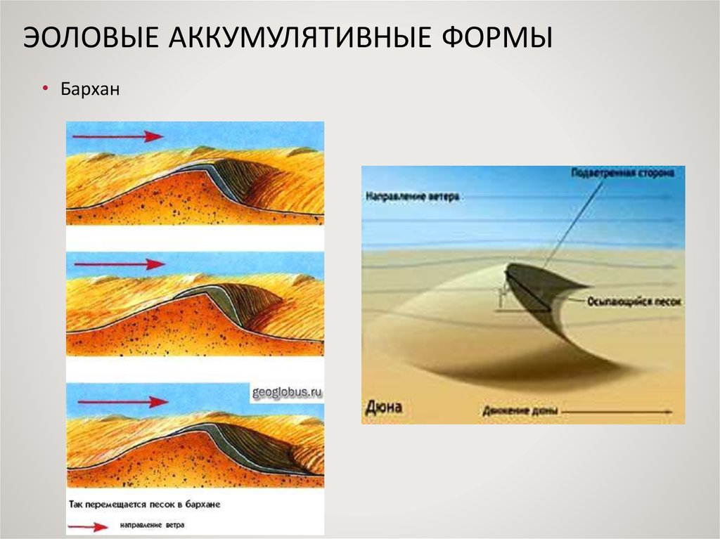 Эоловой рельеф. Эоловые аккумулятивные формы рельефа. Аккумулятивные формы рельефа Бархан Дюна. Эоловые процессы формы рельефа. Эоловые отложения и формы рельефа.