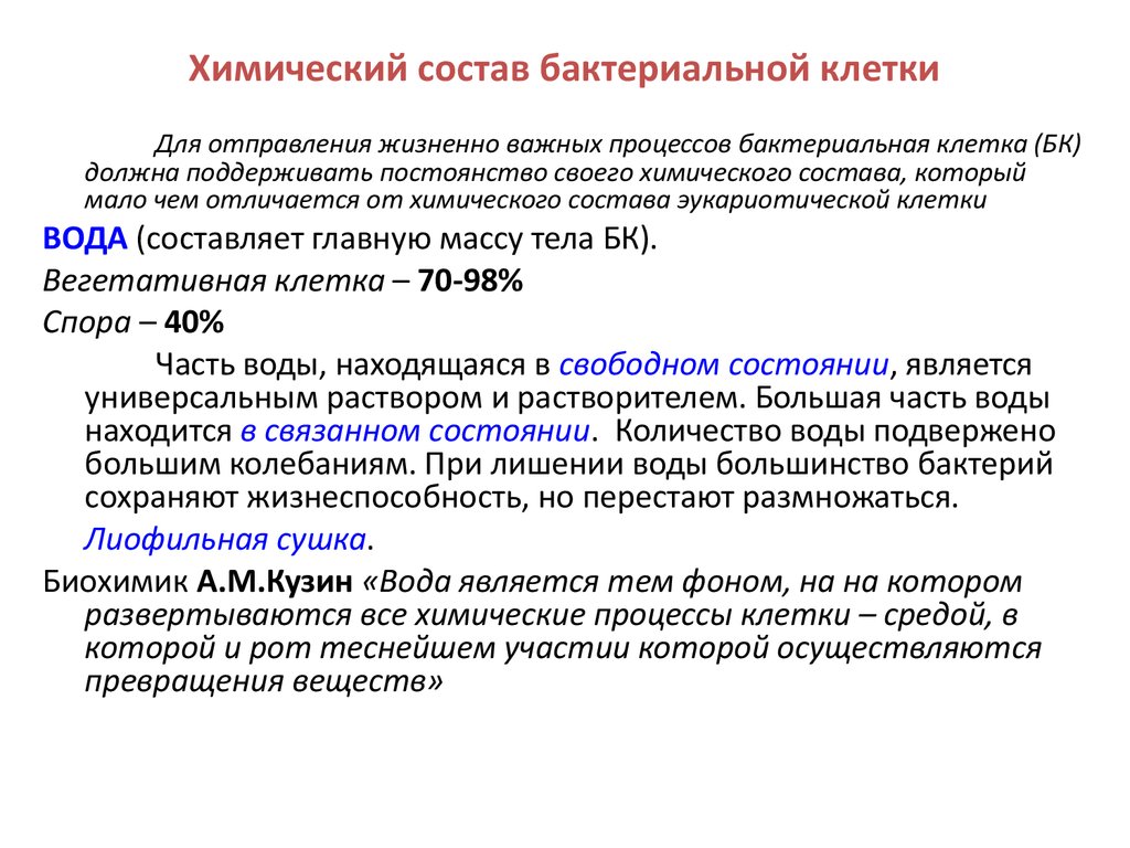 Значение химических составов. Строение и химический состав микроорганизмов. Химическая структура бактериальной клетки. Органические вещества входящие в состав бактериальной клетки. Характеристика химического состава бактериальной клетки.