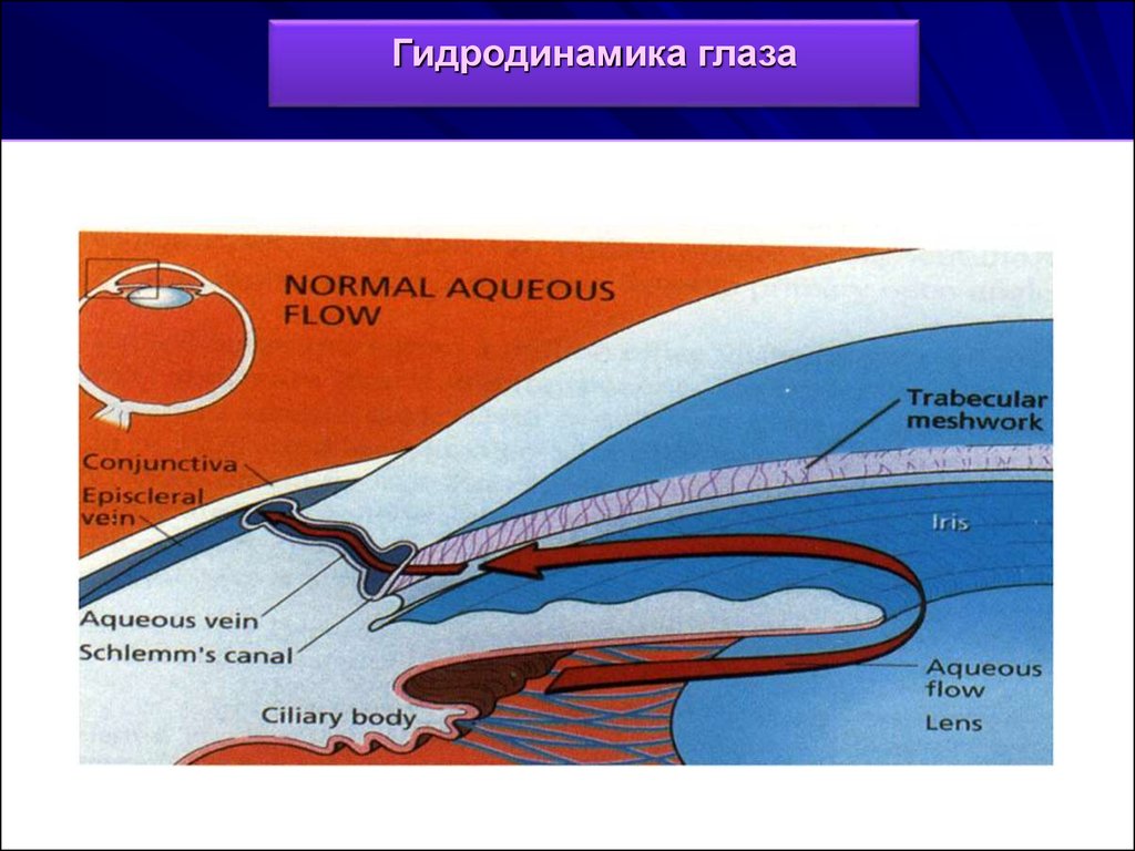 История гидродинамики