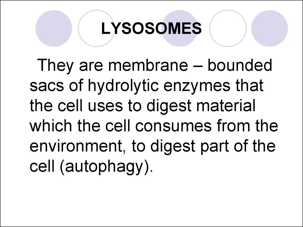 LYSOSOMES