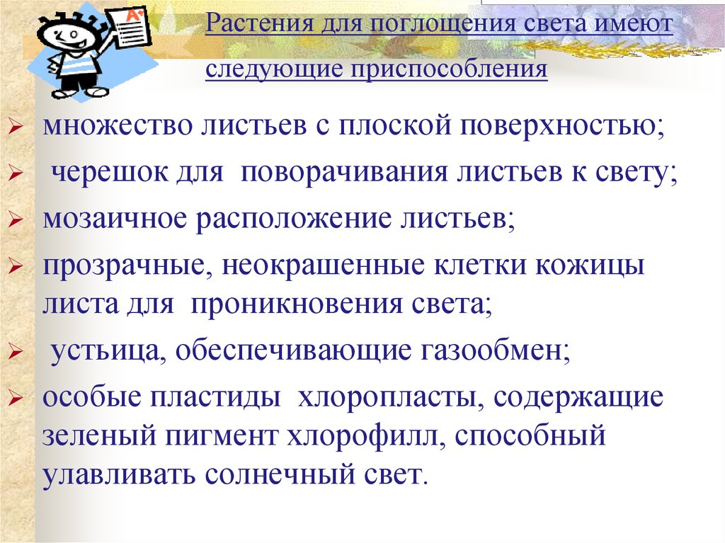 Какие приспособления имеются. Приспособления растений для улавливания света. Приспособление растений для улавливания световой энергии. Какие приспособления имеют растения к улавливанию световой энергии. Приспособленность растений к улавливанию света.