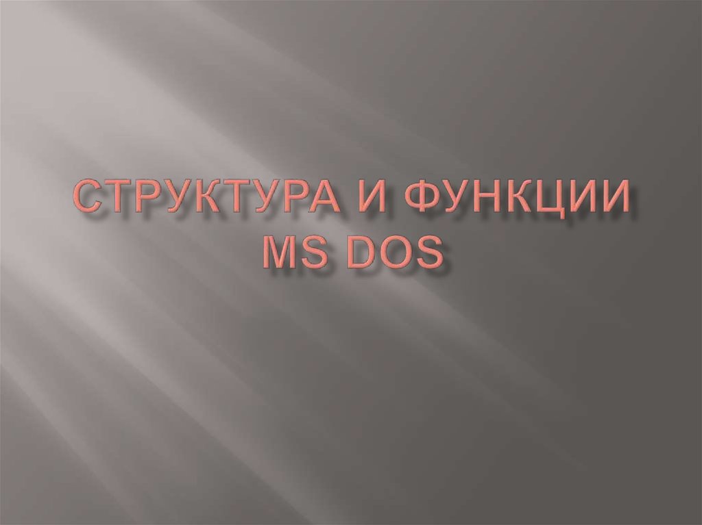 Структура и функции MS DOS