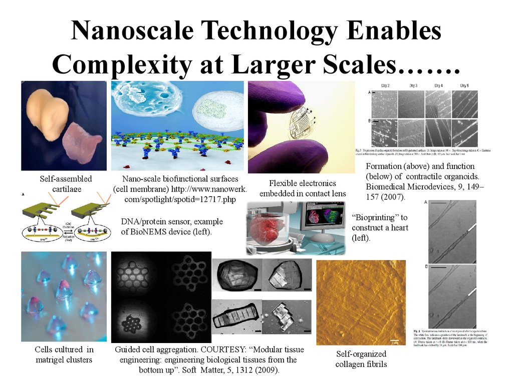 Nanoscale Technology Enables Complexity at Larger Scales…….