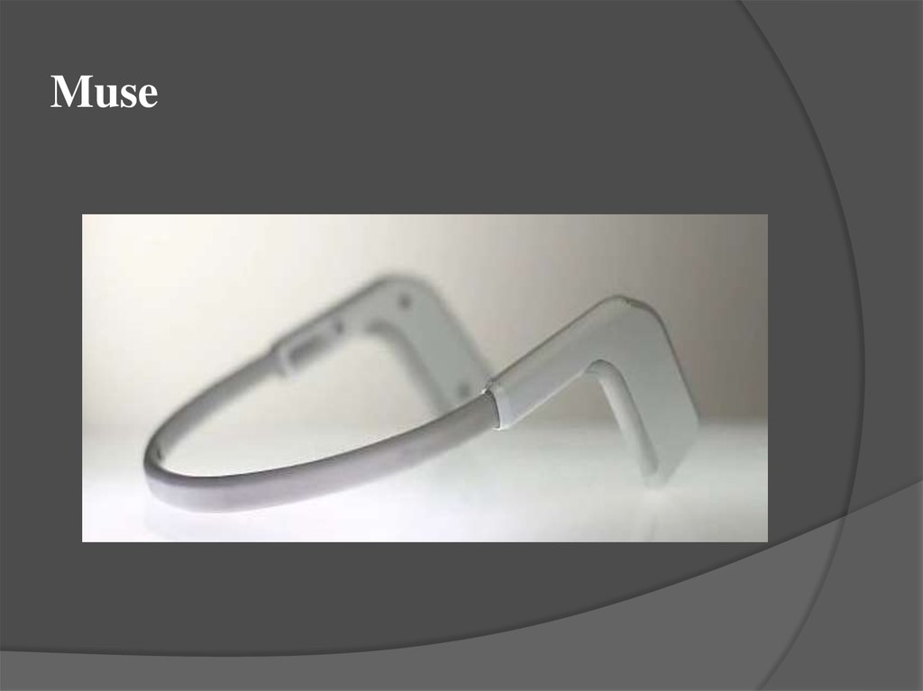 Muse