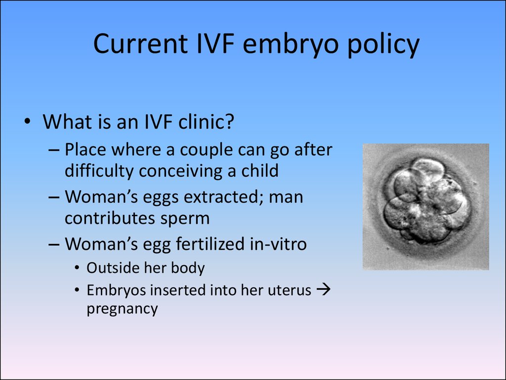 Current IVF embryo policy