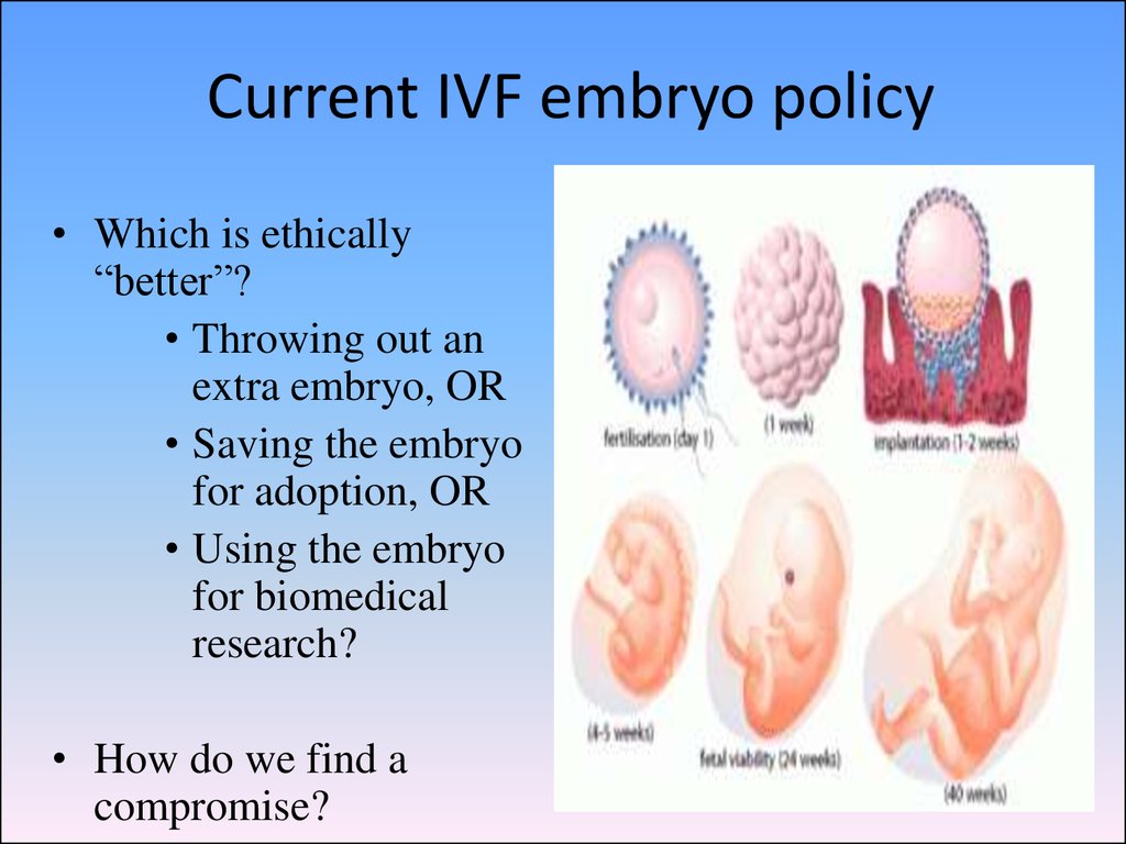 Current IVF embryo policy