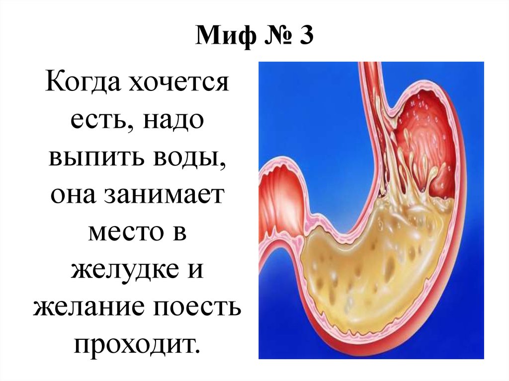 Болит желудок и хочется есть. Желудок не хочет кушать. Мифы о питании. Мифы о диетах презентация.