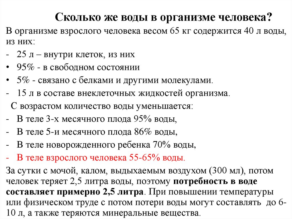 Сколько литров во взрослом человеке