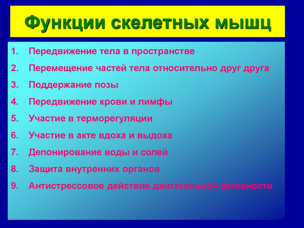 Функции скелетных мышц. Передвижение тела в пространстве это функция мышц. Депонирующая функция скелетных. Передвижение организма в пространстве 11 букв. Функции скелетных мышц мед колледж 1 курс.