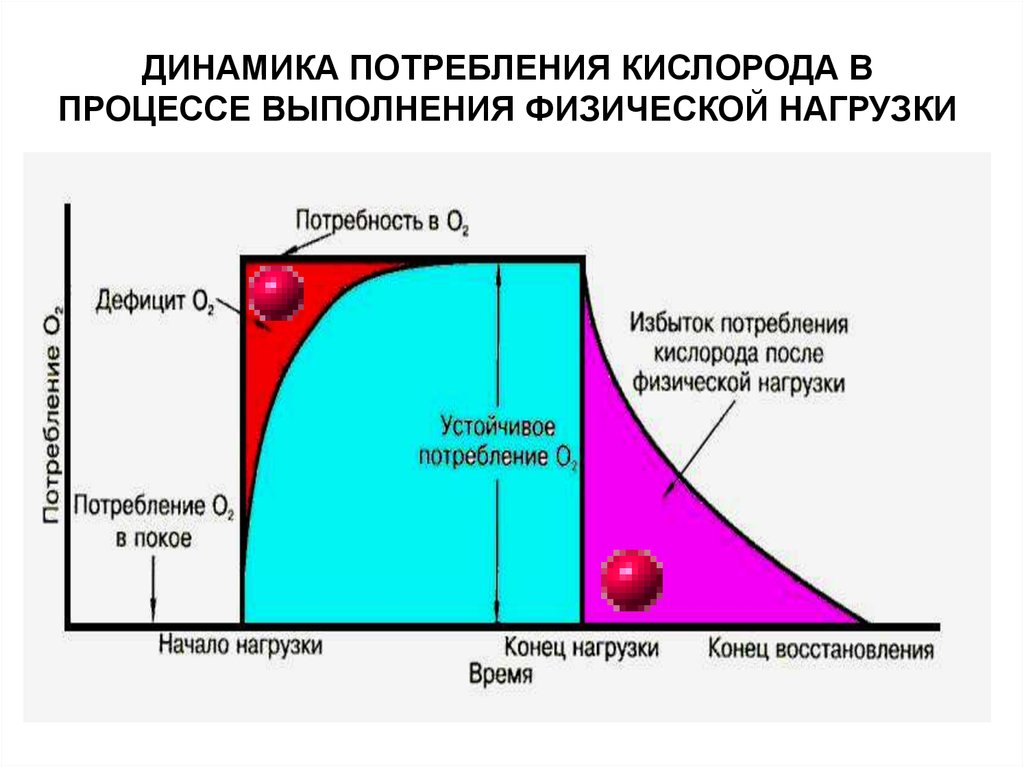 Потребность кислорода