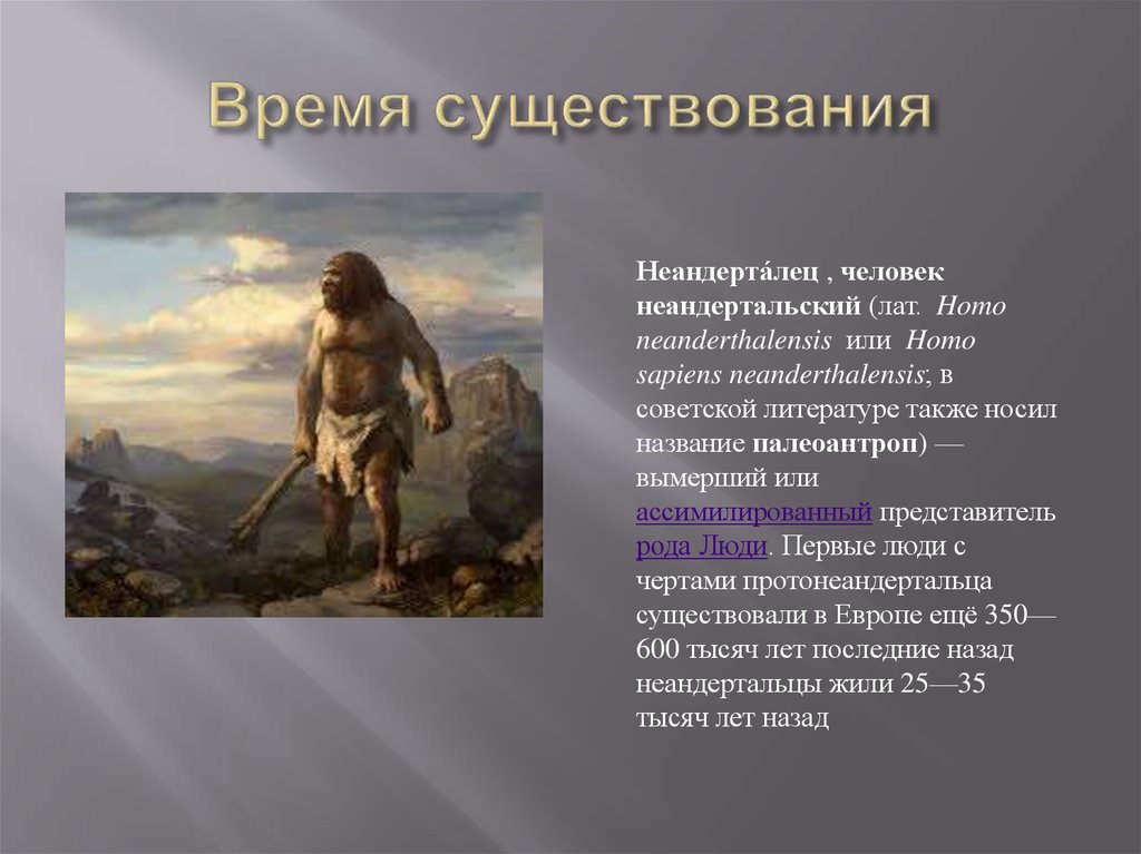 Период существовавший. Неандерталец время существования. Палеоантропы период существования. Неандерталец период существования. Период жизни неандертальца.