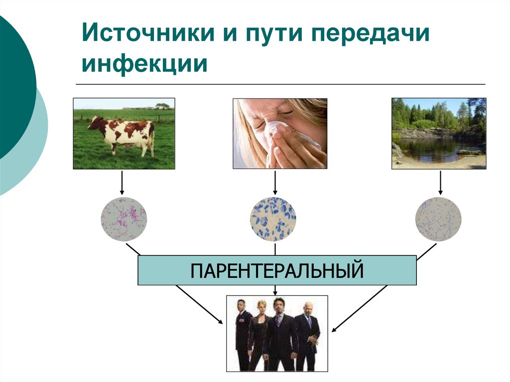 Источники заражения. Источники инфекции способы передачи инфекции. Источники и пути передачи инфе. Источники и пути передачи инфекции. Источники и сособыпередачи инфекции.