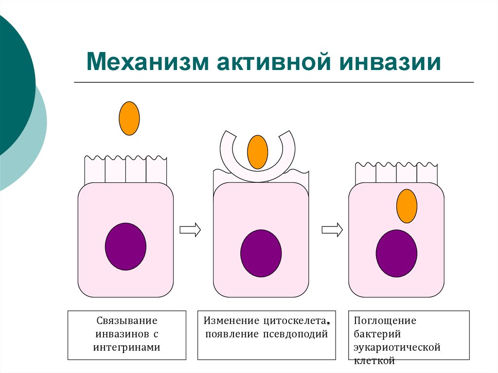 Механизмы активности