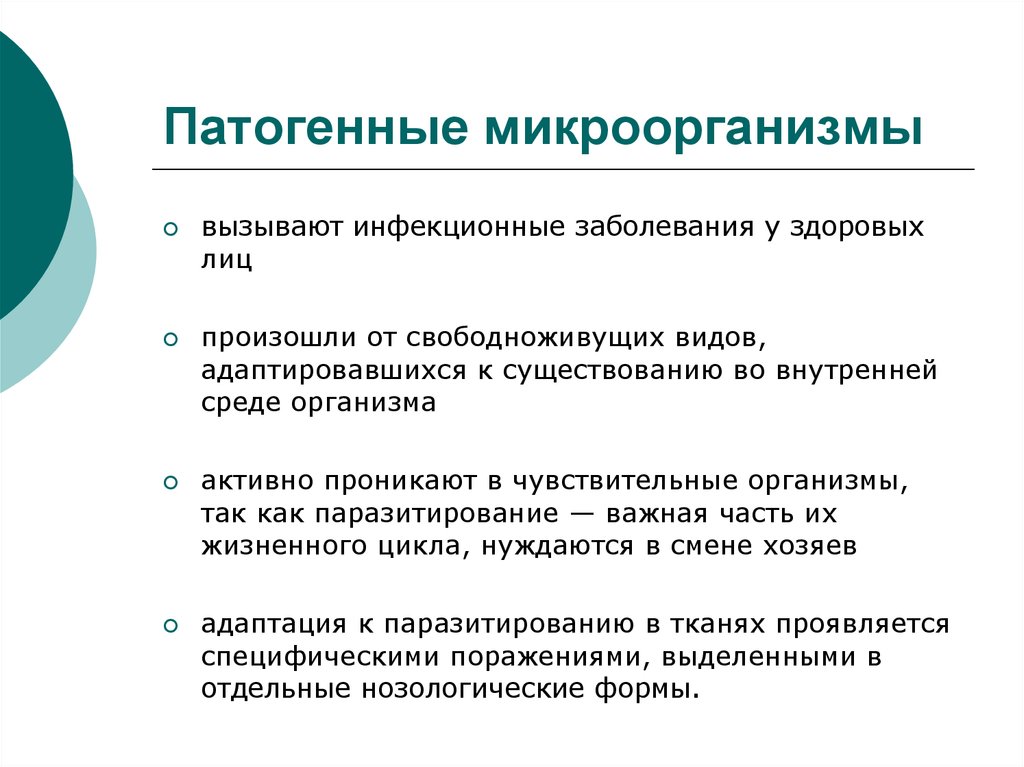 Условно патогенные инфекции